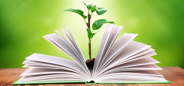 Libro abierto con un árbol creciendo desde dentro de las páginas